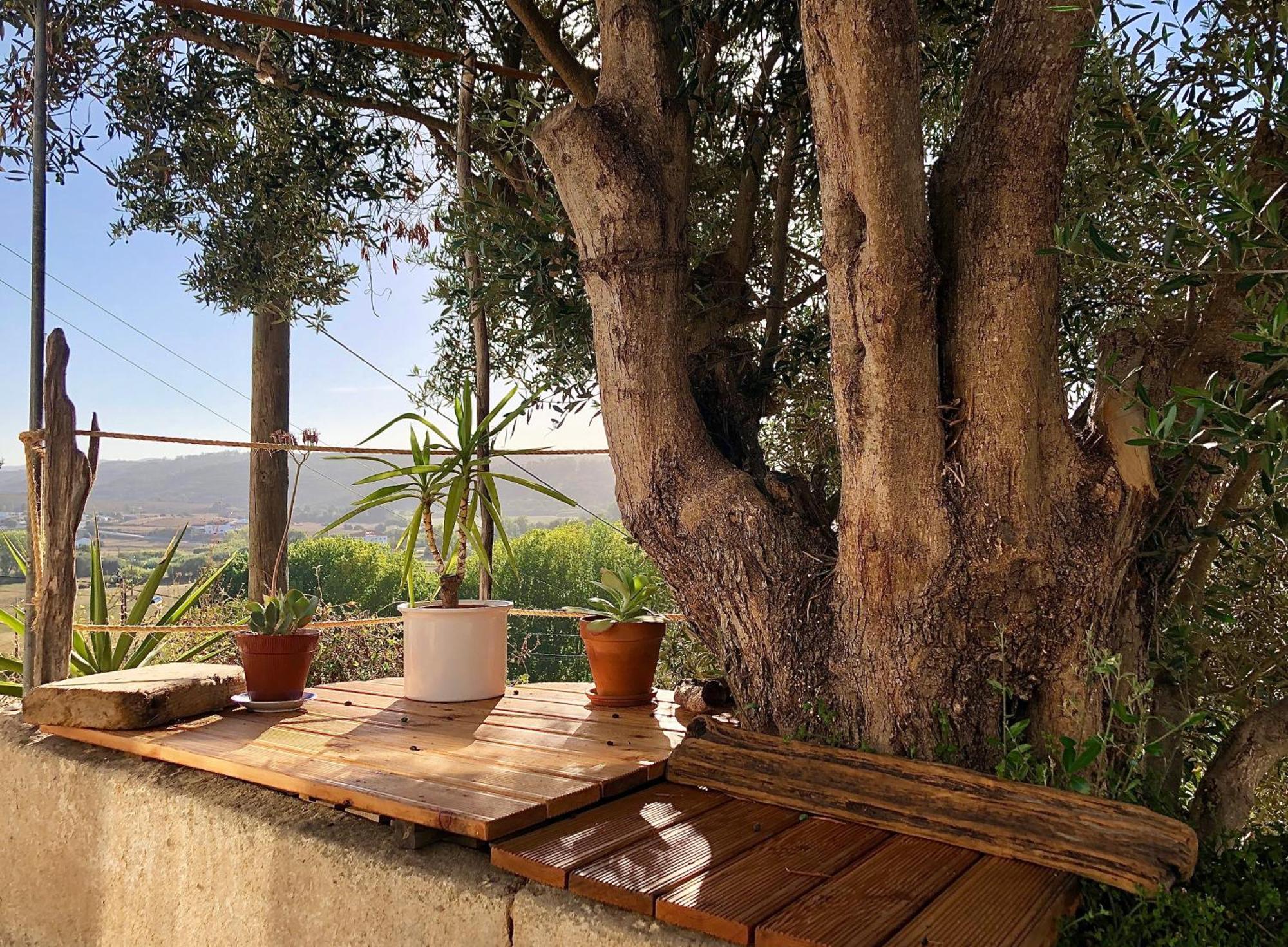 Вилла Casa Anneli - Relaxing Under The Olive Tree Алжезур Экстерьер фото